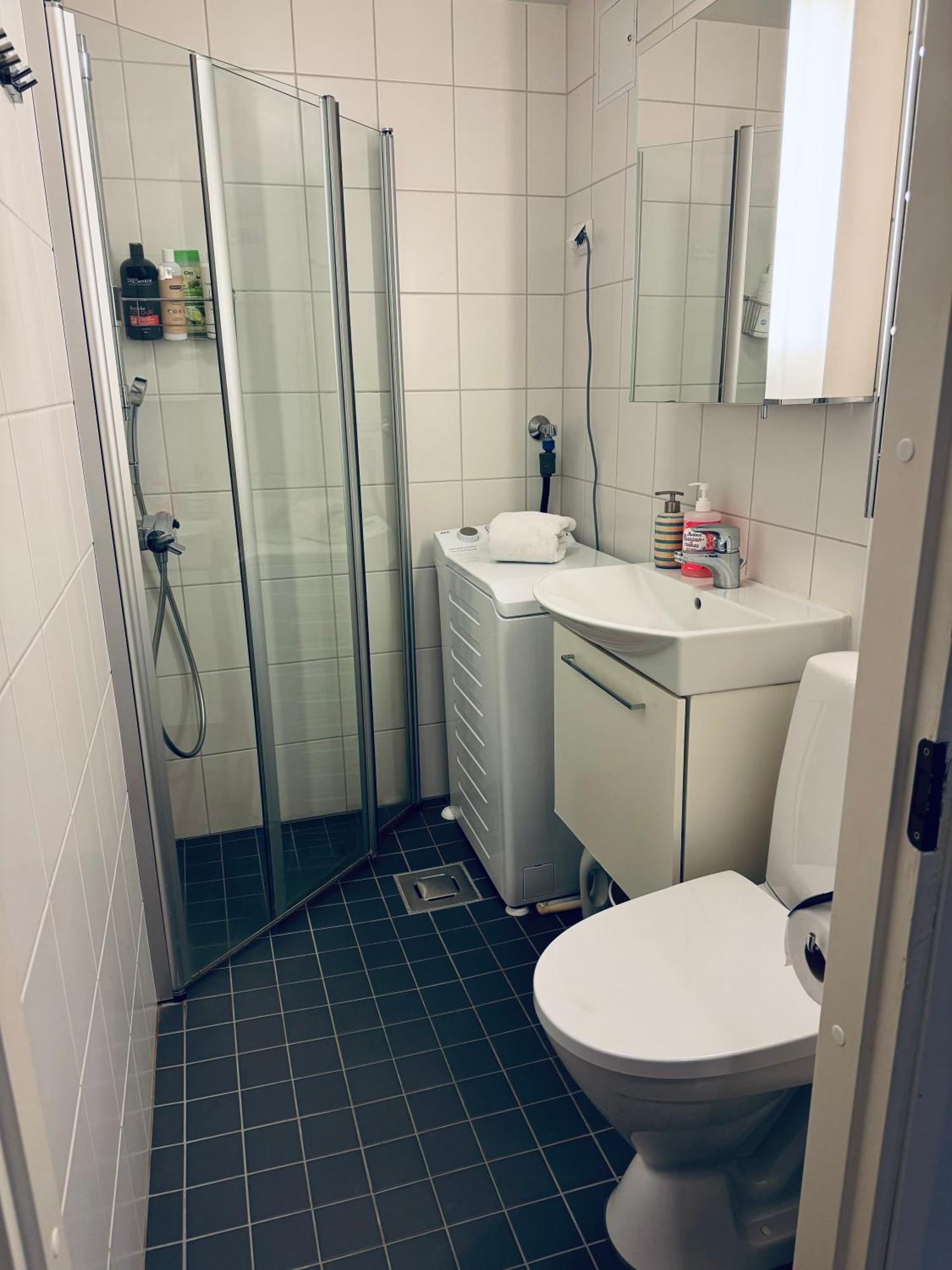 Lovely Apartment, Vuorimiehenkatu 31 Helsinki Dış mekan fotoğraf