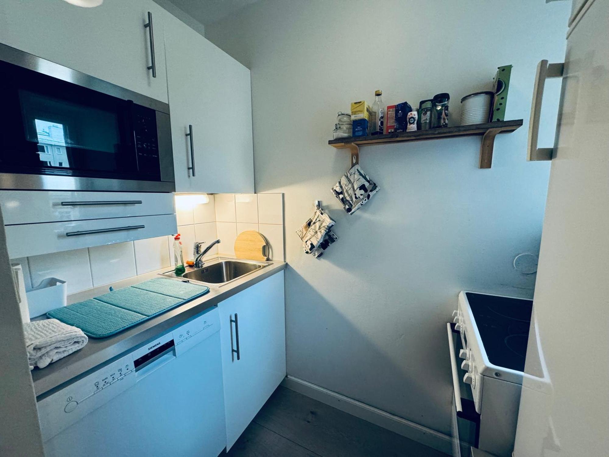 Lovely Apartment, Vuorimiehenkatu 31 Helsinki Dış mekan fotoğraf